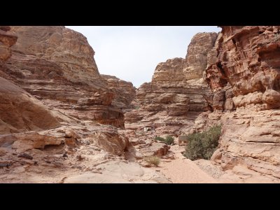 DSC02564 - Kopie.JPG